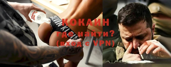 гидра Алексеевка