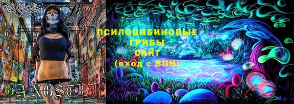 гидра Алексеевка