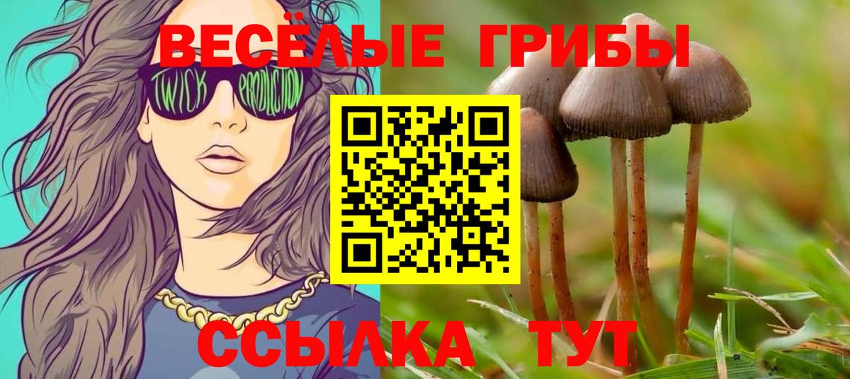 Псилоцибиновые грибы Magic Shrooms Ачинск