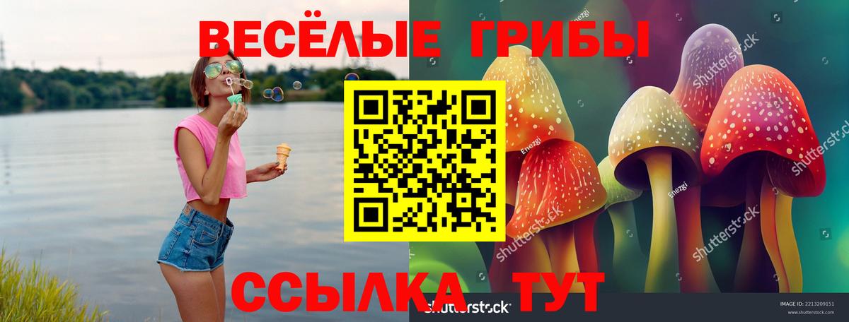 Ачинск  Галлюциногенные грибы Cubensis  Галлюциногенные грибы Psilocybine cubensis  Вход с VPN 